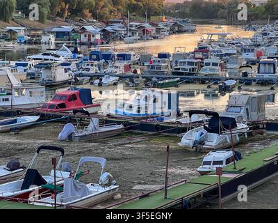 Eine ungewöhnlich niedrige Donau lässt Dutzende von Booten auf Schlamm in Novi Sad, Serbien, stranden. Stockfoto