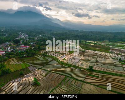 Luftaufnahme der Reisterrassen von Sapa bei Sonnenaufgang mit goldenem Licht über grünen Feldern und nebligen Bergtälern Stockfoto