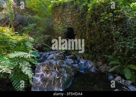 Eine alte, verlassene Steinmühlenruine, die von überwucherndem grünem Laub bedeckt ist, steht neben einem klaren Waldstrom in Zentralportugal. Stockfoto
