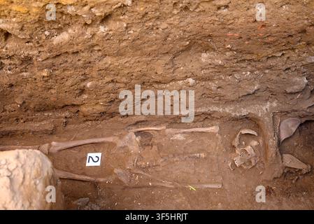 Archäologische Ausgrabungsgrube, die menschliche Skelettreste zeigt, die in alten Bodenschichten begraben sind Stockfoto