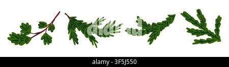 Minimalistisches Weihnachts-Set mit immergrünen Zweigen, handgezeichneter botanischer Trenner für Grußkarten, Einladungen und Feiertagsdrucke. Vektor-Illustrati Stock Vektor