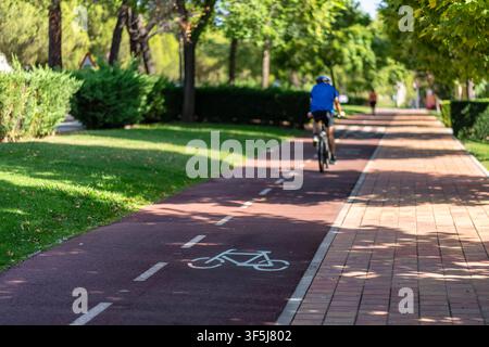 Radfahrer fährt auf einem markierten Radweg neben einem gepflasterten Gehweg in einem grünen Stadtpark davon Stockfoto