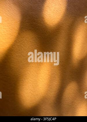 Warmes goldenes Sonnenlicht wirft weiche abstrakte Schatten auf eine strukturierte Oberfläche und erzeugt einen stimmungsvollen Hintergrund mit organischen Formen, satten Brauntönen Stockfoto