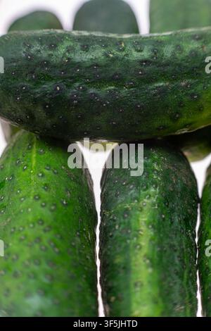 Extreme Makro-Nahaufnahme von frischer Gurkenhaut, die die natürliche, unebene Textur und die tiefdunklen Grüntöne zeigt. Der enge Ausschnitt verwandelt das Gemüse s Stockfoto