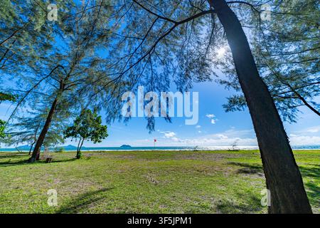 Wunderschöne Aufwärtsperspektive von grünen Kiefern, die einen klaren blauen Himmel an einem sonnigen Tag einrahmen. Idealer Hintergrund für Waldschutz, Ökologie, Wandern, a Stockfoto