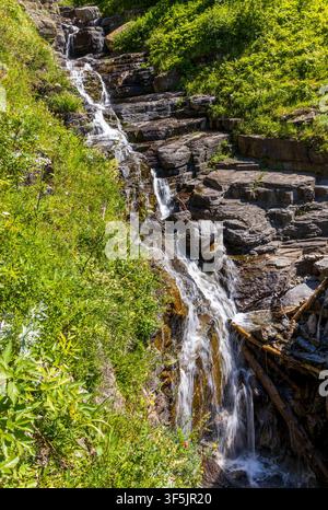 Glacier National Park in Montana. Ein kleiner Wasserfall, der einen felsigen Hang hinunterstürzt, gesehen von der Going-to-the-Sun-Road Stockfoto