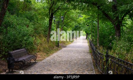 Ein gepflasterter Fußweg windet sich durch einen üppigen grünen Park, gesäumt von dichten Bäumen und Büschen, die ein natürliches Dach bilden. Der Weg ist konstruiert fr Stockfoto