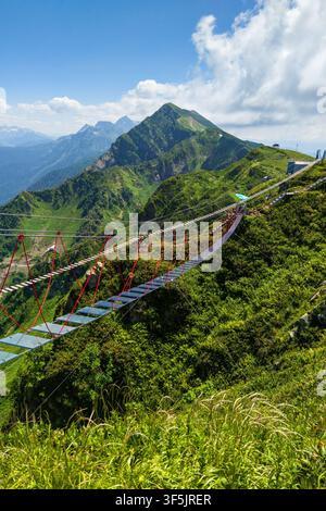 Ein vertikales, weitwinkliges Foto, das eine lange Hohlklappbrücke mit durchsichtigen Glasstufen zeigt, die sich über ein üppiges grünes Bergtal erstreckt. Die Stockfoto