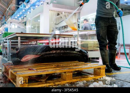 Arbeiter spült einen großen frischen Fisch auf einer Holzpalette an einem geschäftigen Großmarkt mit einem Industrie-Schlauch neben gekühlten Ausstellungsständen und nassem Boden Stockfoto