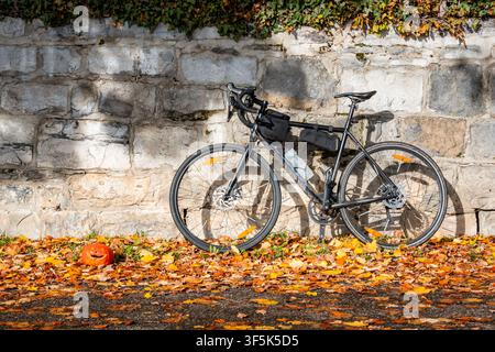 Schwarzes Fahrrad lehnt an einer historischen Steinmauer in Genf an einem sonnigen Herbsttag, umgeben von farbenfrohen gefallenen Blättern und warmem Sonnenlicht entlang einer ruhigen Stockfoto
