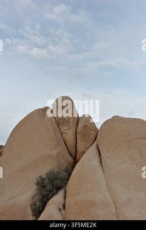 Schichtige Granitblöcke fangen weiches Licht unter einem bewölkten Himmel ein, Joshua Tree Nationalpark Stockfoto