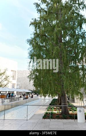 Hohe kahle Zypresse, die mit Lichterketten neben einem langen Reflexionsbecken im Innenhof des Getty Centers in Los Angeles geschmückt ist Stockfoto