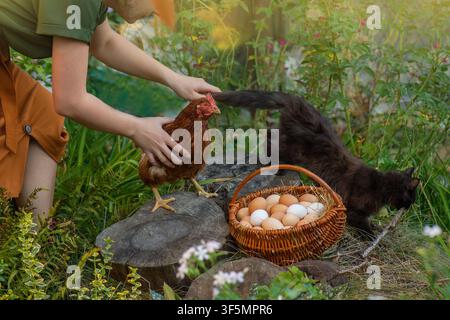 Frische Eier in einem Weidenkorb und Huhn in den Händen eines Bauern auf einem Bio-Freilandhof. Der Bauer trägt einen geflochtenen Korb mit frisch gesammelten Eiern, während er Stockfoto