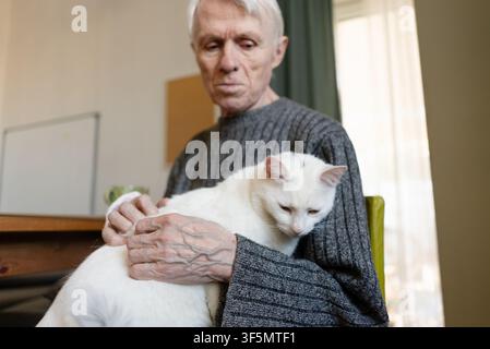 Älterer Mann hält eine weiße Katze auf dem Schoß in einem Stuhl zu Hause drinnen. Senior-Pet-Besitzer wiegt die Katze mit Trost und entspannter Wärme. Großvater genießt ruhige häusliche Freizeit mit seinem geliebten Gefährten Stockfoto