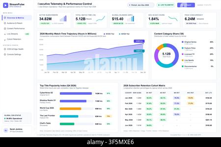 Professionelle Vector-Schnittstelle, die Abonnementdaten, Zuschauerzeit-Trends und Finanzanalysen für Medienplattformen anzeigt. Stock Vektor