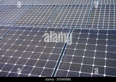 Reihen von Solarpanelen, die im Freien installiert sind. Saubere Elektrizität und modernes System für erneuerbare Energien Stockfoto