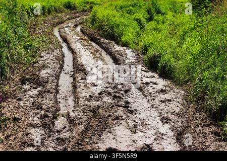 Tiefe schlammige Reifenspuren, die von einem schweren Geländewagen durch eine sumpfige grüne Wiese geschnitten wurden, zeigen einen anspruchsvollen Geländewagenweg unter hellem Sommer Stockfoto