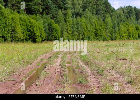 Schlammiger Feldweg mit tiefen Reifenspuren und Wasserpfützen, der an einem sonnigen Sommertag durch ein üppiges grünes Feld zu einem dichten Waldrand führt Stockfoto