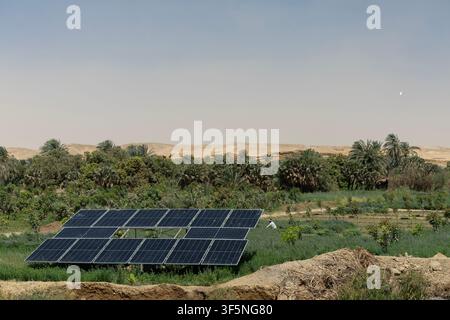Solarpaneele prägen ein Zeichen des 21. Jahrhunderts auf eine uralte Szene eines Bauern, der seine Felder in dem schmalen fruchtbaren Streifen zwischen Nil und Wüste in Ägypten bewirtschaftet. Stockfoto
