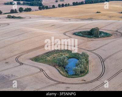 Luftaufnahme kleiner natürlicher Teiche, umgeben von abgeernteten landwirtschaftlichen Feldern auf dem Land Stockfoto