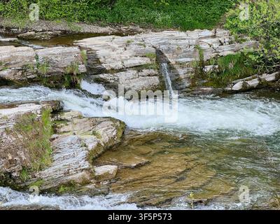 Ein lebendiger Bach stürzt über geschichtete Felsen und erzeugt eine Reihe kleiner Wasserfälle. Umgebende üppige Vegetation und moosbedeckte Steine unterstreichen die natürliche Schönheit. Stockfoto