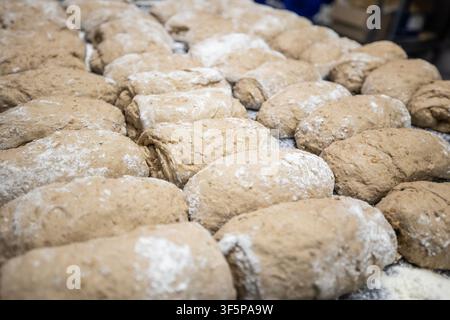 Reihen geformter Rohteigstücke, mit Mehl bestäubt, ruhen auf einem Blech vor dem Backen in einer professionellen Küchenumgebung, in der mehrere Chargen vorbereitet werden Stockfoto