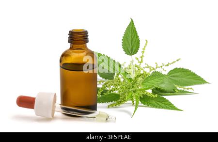 Frische blühende Brennnessel mit einem Glas-Tropfer und Flasche isoliert auf weißem Hintergrund. Kräutermedizin, natürlicher Extrakt, Phytotherapie, Essenzen Stockfoto