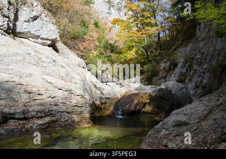 Klareres türkisfarbenes Wasser windet sich durch eine felsige Schlucht unter einem dichten Wald mit lebendigem Herbstlaub. Stockfoto