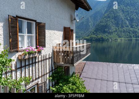 Rustikalisches Alpenfenster mit braunen Holzläden, weißen Spitzenvorhängen und rosa blühenden Blumen. Alte Hausfassade mit weißer Wandverkleidung Stockfoto