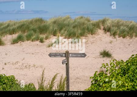 Holzschilder des England Coast Path und Wegweiser in den Bamburgh-Sanddünen, Nordostküste, der Wanderer entlang des Küstenpfades mitten in grasbewachsenen Dünen führt Stockfoto