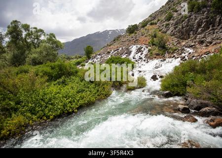 Munzur Springs in Ovacik, Tunceli, Türkei mit kristallklarem Wasser, üppiger Vegetation und malerischer Bergnatur Stockfoto