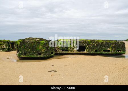Moosige Betonüberreste von Landungsbooten aus dem Zweiten Weltkrieg an der Omaha-Bucht, Normandie. Stockfoto