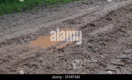 Muddy Puddle in einer grasbewachsenen Außenfläche nach dem Regen Stockfoto