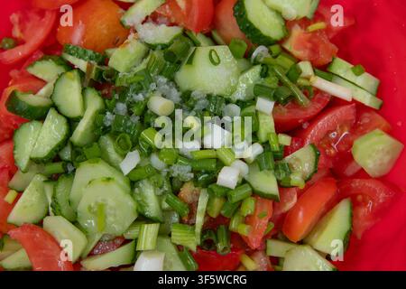 Frischer geschnittener Gemüsesalat mit Gurke, Tomate und grüner Zwiebel Stockfoto