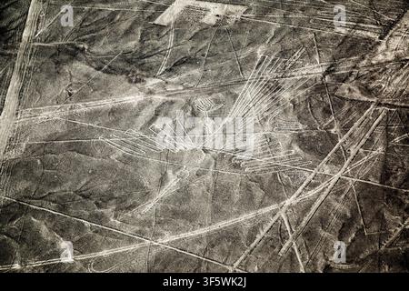 Luftbild des Kolibri-Geoglyphen der Nazca-Linien, die in die trockene Wüstenlandschaft der Provinz Nazca, Ica, Peru, eingraviert sind Stockfoto