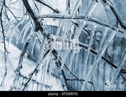 Ein Ast mit starker Eisaufladung. Der gefrierende Ast ist mit einer dicken Eisschicht bedeckt und hat lange, scharfe Eiszapfen an einem Wintertag. Gefrorene Äste. Winteransicht. Naturhintergrund. Natürlicher Hintergrund. Stockfoto