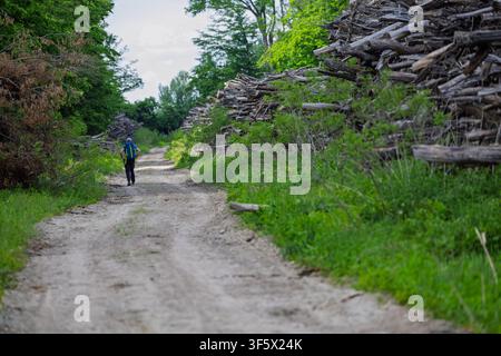 Ein einsamer Wanderer mit einem Rucksack geht entlang eines gewundenen Feldweges, der von gestapelten Baumstämmen und dichter grüner Vegetation gesäumt ist, und vermittelt Einsamkeit, Abenteuer und ou Stockfoto
