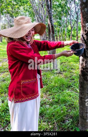 Thailändische Bäuerin sammelt Latexsaft von Bäumen in einer Gummiplantage, Kok Tum, Provinz Mukdahan, Thailand Stockfoto