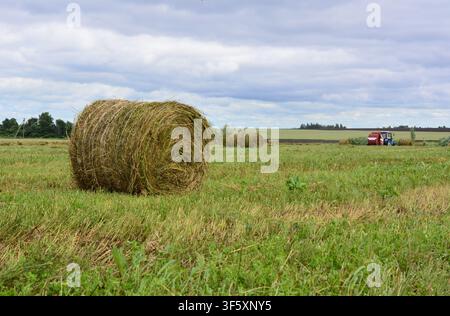 Heuballen auf einem landwirtschaftlichen Feld mit einem Traktor unter bewölktem Himmel Kopierraum Stockfoto