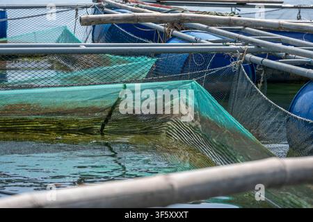 Ein Netzwerk von kommerziellen Fischgehegen aus blauen Fässern, Metallrohren und Netzen liegt auf ruhigem Wasser unter einem hellen Himmel mit Bergen im Hintergrund Stockfoto