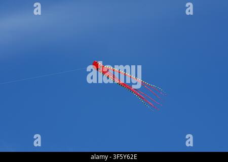 ein lebendiger Tintenfisch-Drachen vor einem klaren blauen Himmel, der einen verspielten und skurrilen Moment von unten einfängt, wenn man nach oben zum Drachen mit Schnur und Papier schaut Stockfoto