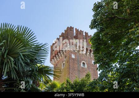 Palmenblätter und dichtes grünes Laub umrahmen einen hohen Ziegelturm einer Burg in Lazise, Italien. Die historische zinnenbekrönte Architektur hebt sich scharf von dem Stockfoto