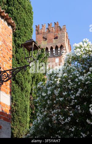Weiß blühende Grünpflanzen und eine hohe Zypresse rahmen einen zinnenbekrönten Backsteinburgturm in Lazise, Italien. Eine dekorative Lampe und eine alte Mauer vervollständigen das helle Stockfoto