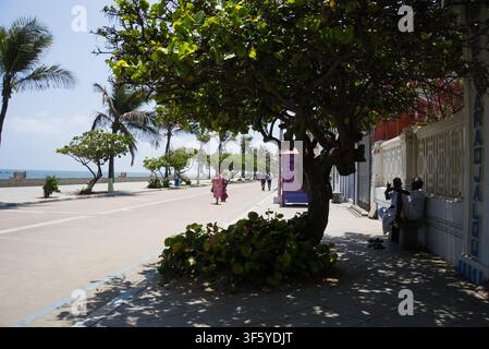 Fußgänger schlendern entlang der von Bäumen gesäumten Promenade der Goubert Avenue mit Blick auf den Ozean an einem hellen Sonnentag. Stockfoto