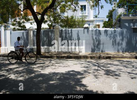 Ein Mann fährt ein traditionelles Fahrrad an grauer und weißer französischer Kolonialarchitektur vorbei, im Schatten von Bäumen im French Quarter (White Town). Stockfoto
