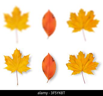 Realistische Herbstblätter-Sammlung Stock Vektor