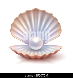 Vektor 3D Perle in offener Muschel. Realistische Austernschale mit weißer Perle. Elegantes marines Schatz und Luxus-Schmucksymbol isoliert Stock Vektor