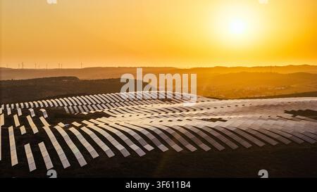 Luftaufnahme von umfangreichen Photovoltaik-Panel-Arrays, die in warmem Abendlicht über einer ländlichen Hügellandschaft leuchten. Stockfoto