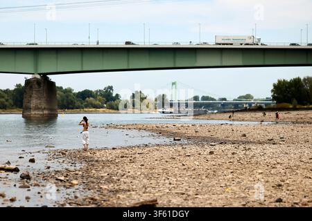 Spaziergänger stehen im ausgetrockneten Teil des Flussbetts - im Hintergrund Zoobrücke und Mülheimer Brücke. Der Rheinpegel ist in Köln und Bonn auf einem Rekordtief. Viele Rheinwiesen sind verdorrt und versteppt und der sonst so stolze Fluss hat sich tief in sein Bett zurückgezogen, gibt den Blick auf trockene Ufer frei. Der Pegel lag am Wochenende mit 67 cm so tief wie noch nie seit der Messung. Themenbild, Symbolbild Köln, 29.07.2026 NRW Deutschland *** Walker stand in dem ausgetrockneten Teil des Flussbetts, mit der Zoobrücke und Mülheimer Brücke im Hintergrund. Der Wasserstand des Rheins in Col Stockfoto