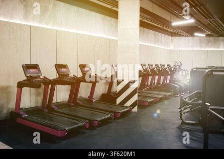 Cardio-Zone mit Laufbändern und Crosstrainern in einem sonnendurchfluteten Fitnessstudio Stockfoto